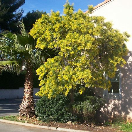Stars Antibes Hotel Biot Exterior photo